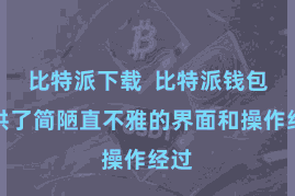 比特派下载 比特派钱包提供了简陋直不雅的界面和操作经过