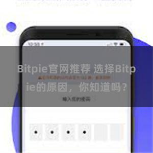 Bitpie官网推荐 选择Bitpie的原因，你知道吗？