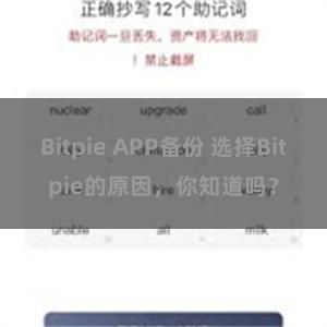 Bitpie APP备份 选择Bitpie的原因，你知道吗？