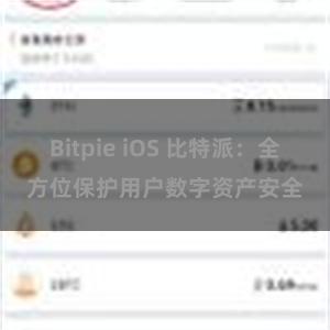 Bitpie iOS 比特派：全方位保护用户数字资产安全