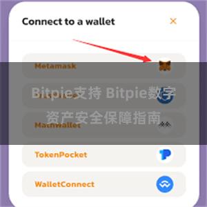 Bitpie支持 Bitpie数字资产安全保障指南