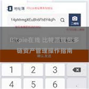 Bitpie在线 比特派钱包多链资产管理操作指南