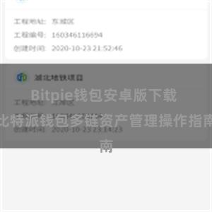 Bitpie钱包安卓版下载 比特派钱包多链资产管理操作指南