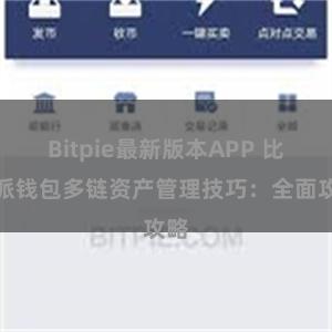 Bitpie最新版本APP 比特派钱包多链资产管理技巧：全面攻略