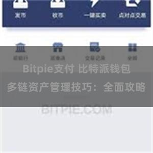 Bitpie支付 比特派钱包多链资产管理技巧：全面攻略