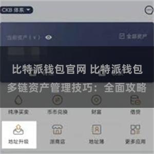 比特派钱包官网 比特派钱包多链资产管理技巧：全面攻略