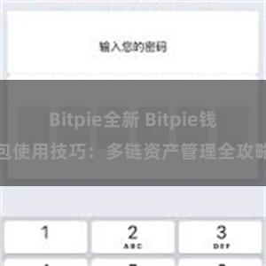 Bitpie全新 Bitpie钱包使用技巧：多链资产管理全攻略