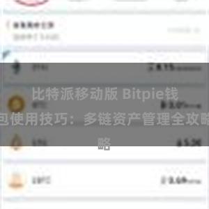 比特派移动版 Bitpie钱包使用技巧：多链资产管理全攻略