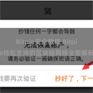 Bitpie安全教程 Bitpie钱包支持的区块链网络全面解析