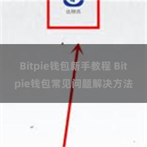 Bitpie钱包新手教程 Bitpie钱包常见问题解决方法