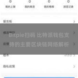 Bitpie扫码 比特派钱包支持的主要区块链网络解析