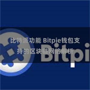 比特派功能 Bitpie钱包支持的区块链网络解析