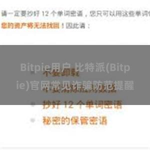 Bitpie用户 比特派(Bitpie)官网常见诈骗防范提醒