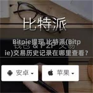 Bitpie提现 比特派(Bitpie)交易历史记录在哪里查看？