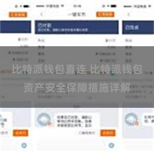 比特派钱包直连 比特派钱包资产安全保障措施详解