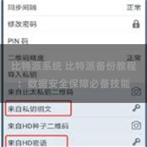 比特派系统 比特派备份教程：数据安全保障必备技能