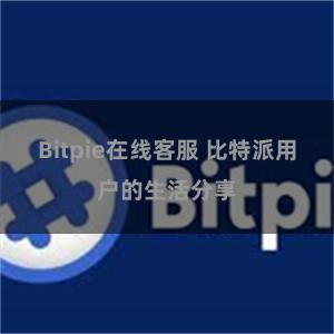 Bitpie在线客服 比特派用户的生活分享