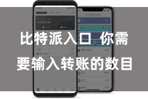 比特派入口  你需要输入转账的数目