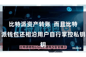 比特派资产转账  而且比特派钱包还相沿用户自行掌控私钥