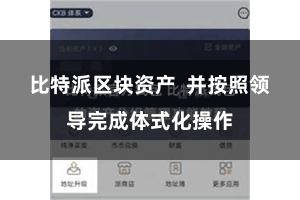 比特派区块资产  并按照领导完成体式化操作