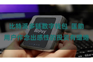 比特派多链数字钱包  匡助用户作念出感性的投资有缱绻