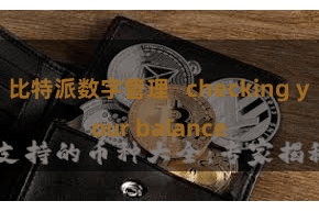 比特派数字管理 checking your balance