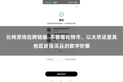 比特派钱包跨链版  不管是比特币、以太坊还是其他区块链项目的数字钞票
