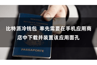比特派冷钱包  率先需要在手机应用商店中下载并装置该应用面孔