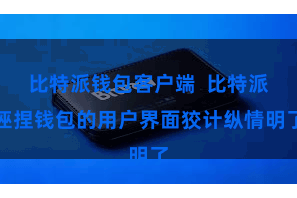 比特派钱包客户端  比特派诬捏钱包的用户界面狡计纵情明了