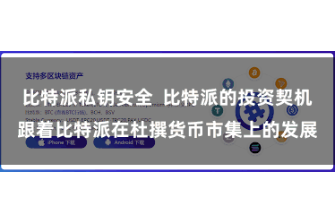 比特派私钥安全  比特派的投资契机跟着比特派在杜撰货币市集上的发展