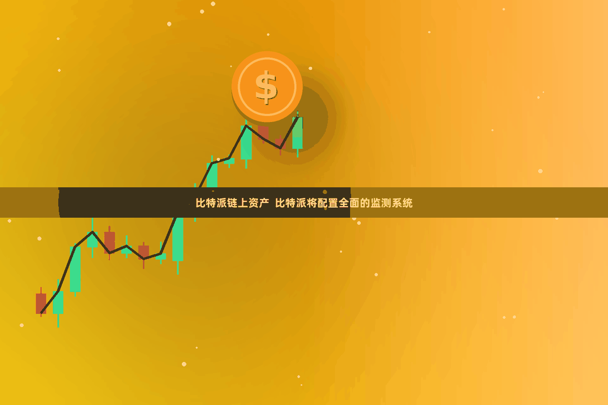 比特派链上资产  比特派将配置全面的监测系统